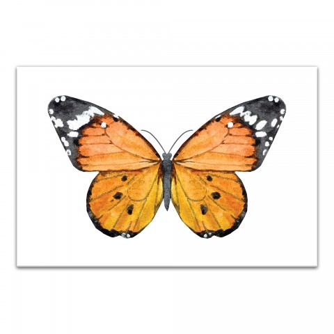 Orange Butterfly 18x12 Canvas Wall Art
