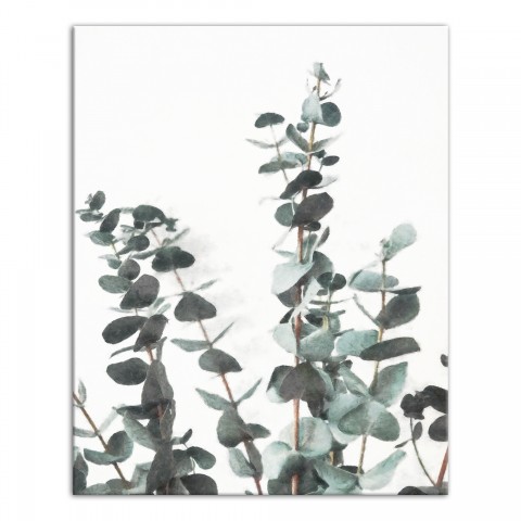 Watercolor Eucalyptus 16x20 Canvas Wall Art