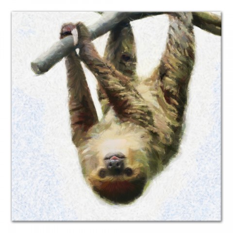 Hanging Sloth 20x20 Canvas Wall Art