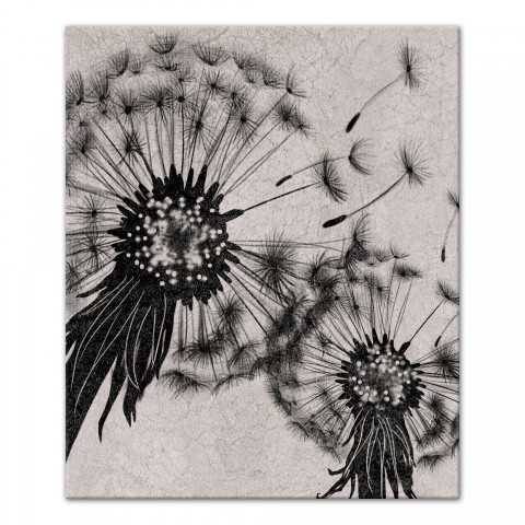 Black and White Dandelion 20x24 Canvas Wall Art