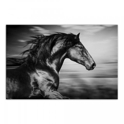 Running Horse 30x20 Canvas Wall Art