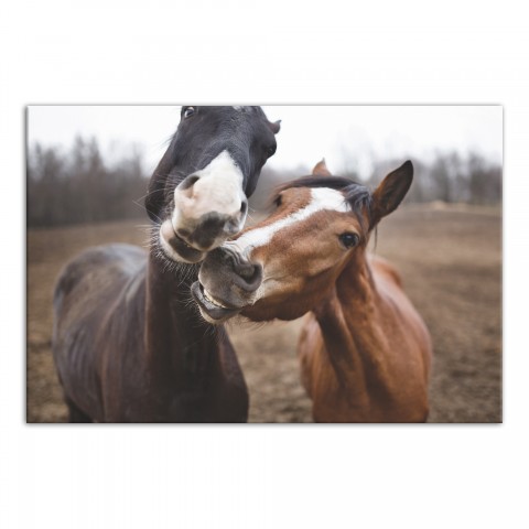 Horse Buds 30x20 Canvas Wall Art