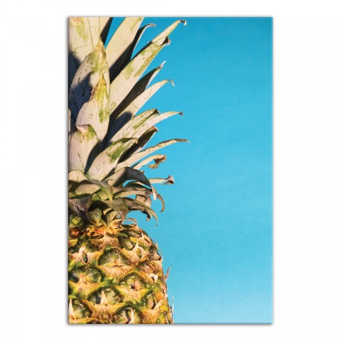 Pineapple Sky 20x30 Canvas Wall Art