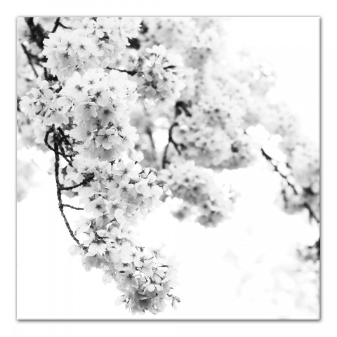 Black and White Floral Photography 30x30 Canvas Wall Art