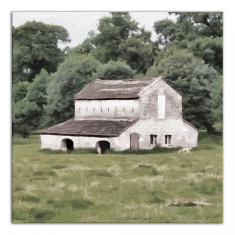 White Barn 30x30 Canvas Wall Art