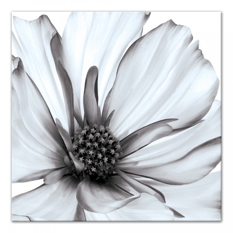Grey and White Flower 36x36 Canvas Wall Art