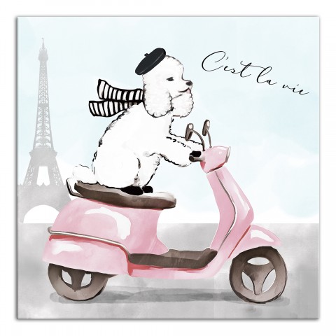 French Poodle Scooter 12x12 Canvas Wall Art