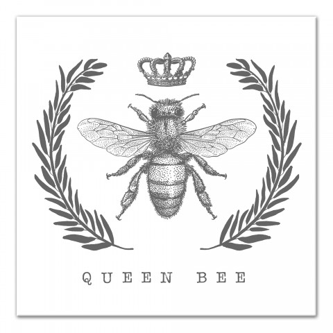Queen Bee 12x12 Canvas Wall Art