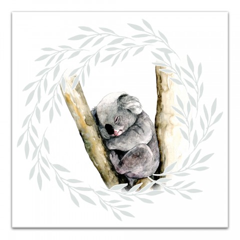 Sleeping Koala 16x16 Canvas Wall Art