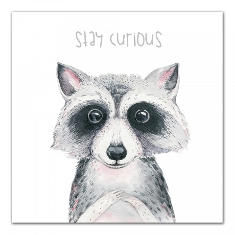 Stay Curious Raccoon 16x16 Canvas Wall Art