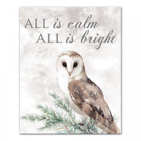 All is Calm and Bright Owl 16x20 Canvas Wall Art