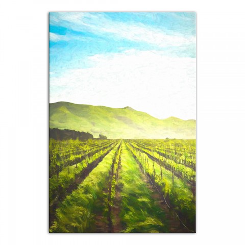 Wine Fields 20x30 Canvas Wall Art