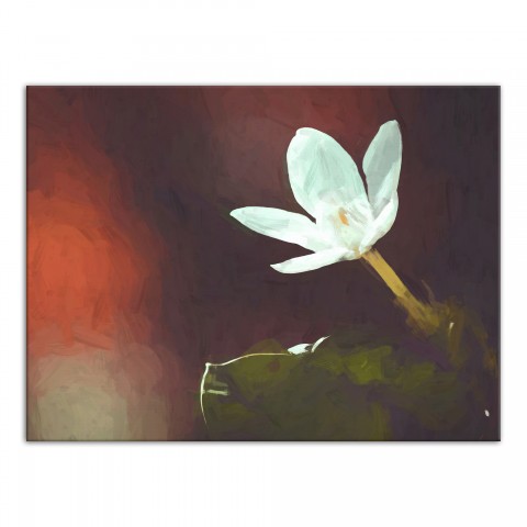 White Flower 24x18 Canvas Wall Art