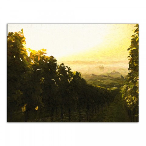 Vineyard Morning 24x18 Canvas Wall Art
