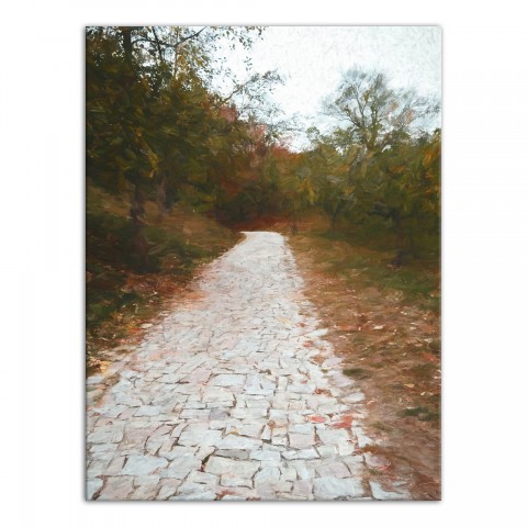 Peaceful Walking Path 18x24 Canvas Wall Art