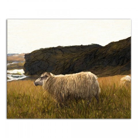 Sheep in Field 30x24 Canvas Wall Art