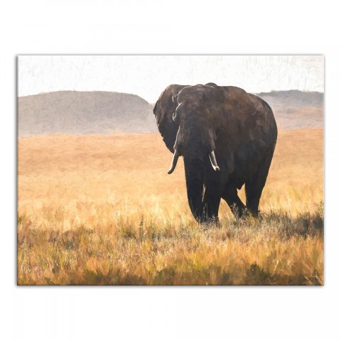 Elephant Landscape 40x30 Canvas Wall Art