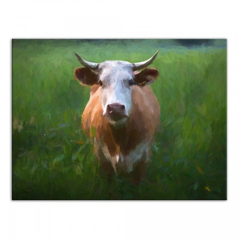Painted Cow 40x30 Canvas Wall Art