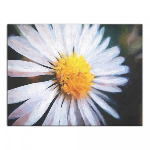 Painted Daisy 40x30 Canvas Wall Art