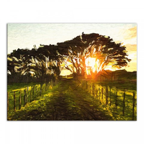Sunlight Through Trees 30x40 Canvas Wall Art