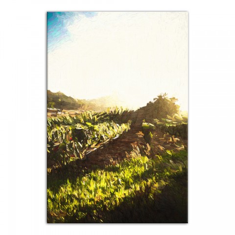 Sunny Farm Path 32x48 Canvas Wall Art