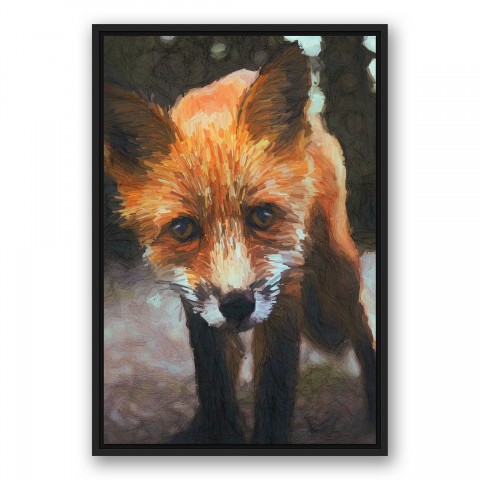 Cute Fox 20x30 Black Floating Framed Canvas