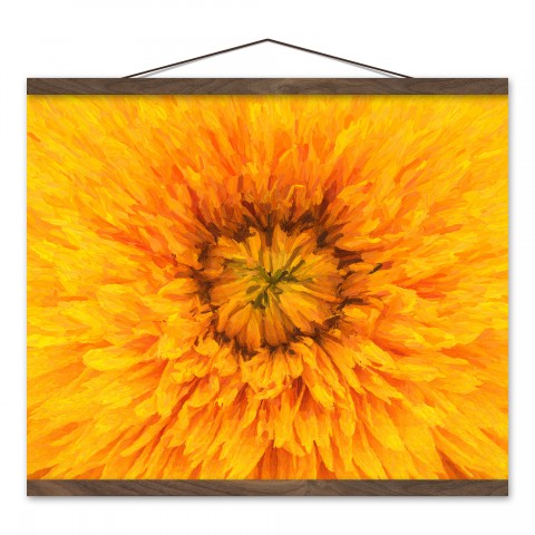 Bright Dandelion 16x20 Teak Hanging Canvas