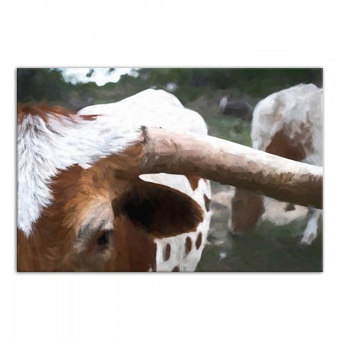 Painted Steer 30x20 Canvas Wall Art