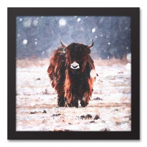 Snowy Yak 12x12 Black Framed Canvas