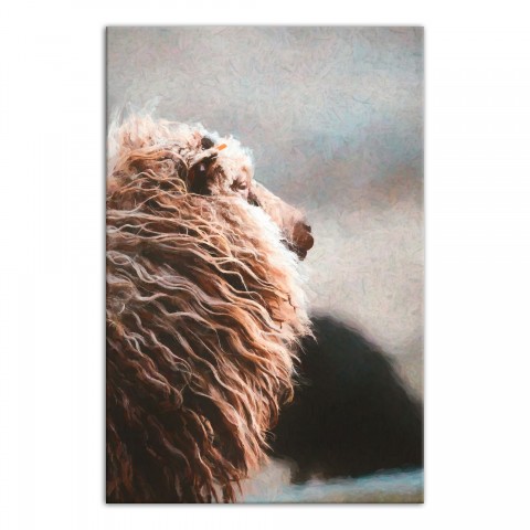 Sheep's Mane 20x30 Canvas Wall Art