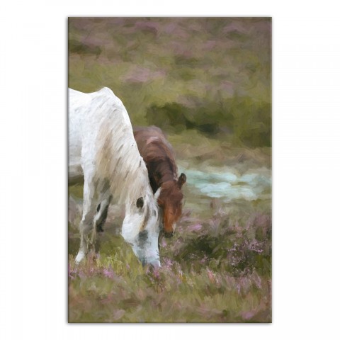 Two Horses Grazing 20x30 Canvas Wall Art