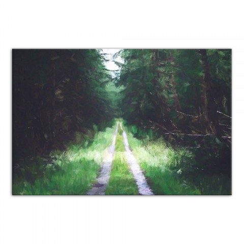 Dark Forest Path 30x20 Canvas Wall Art