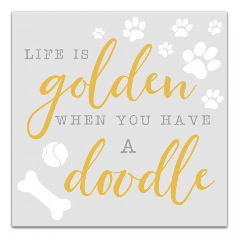 Life is Golden when you have a Doodle 16x16 Canvas Wall Art