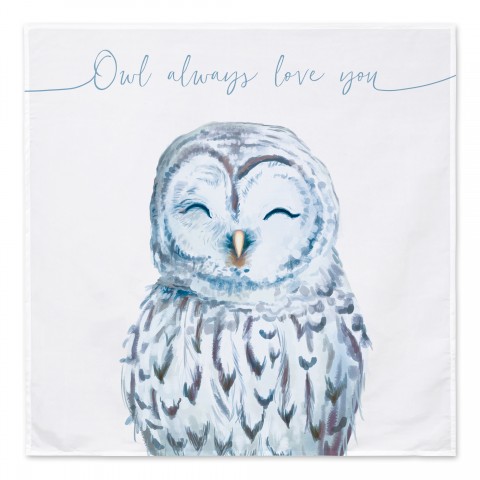 Owl Love Blue 57x57 Tapestry