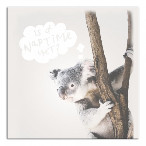  Baby Koala Wall Art