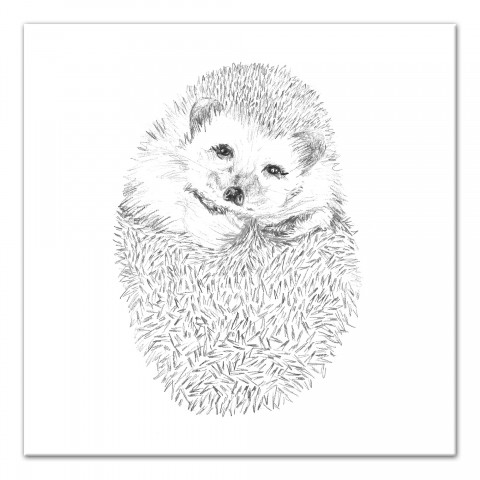  Cute Hedgehog Wall Art
