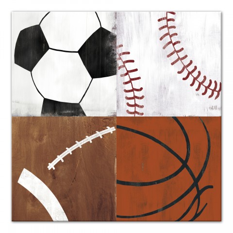 Close Up Sports Balls Wall Art