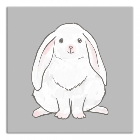 Fluffy Bunny Wall Art