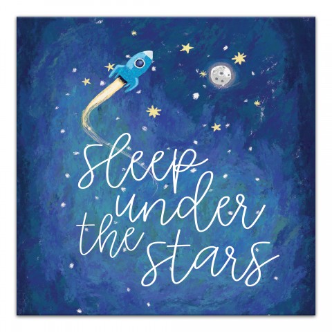 Sleep Under the Stars Wall Art