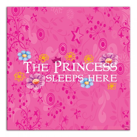 Princess Sleeps Here Wall Art