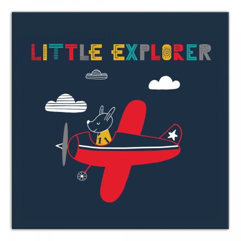 Little Explorer Plane Wall Art