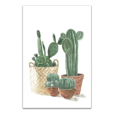 Cacti In Pots 20x30 Canvas Wall Art
