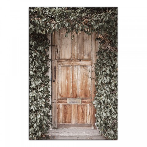 Wooden Door With Ivy  20x30 Canvas Wall Art