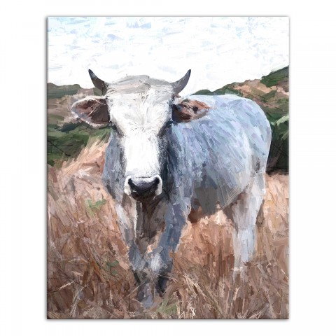 Painted Cool White Cow 16x20 Canvas Wall Art