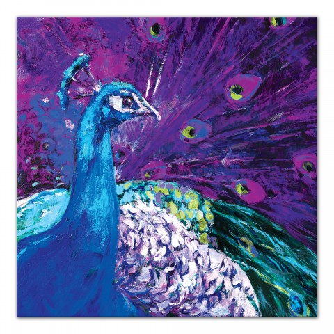 Colorful Painted Peacock  24x24 Canvas Wall Art