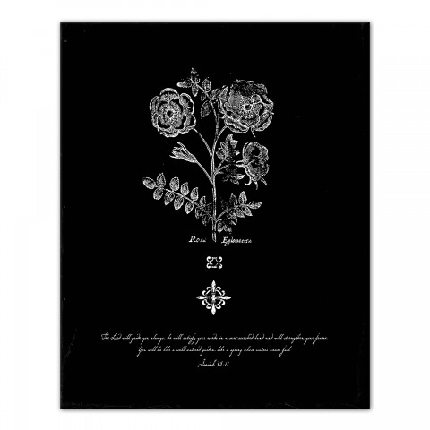 Vintage Flower Etching 16x20 Canvas Wall Art