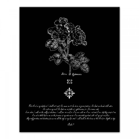 Vintage Flower Etching 16x20 Canvas Wall Art