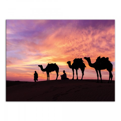 Desert Camels  40x30 Canvas Wall Art