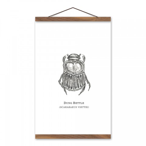 Dung Beetle 12x18 Teak Hanging Canvas
