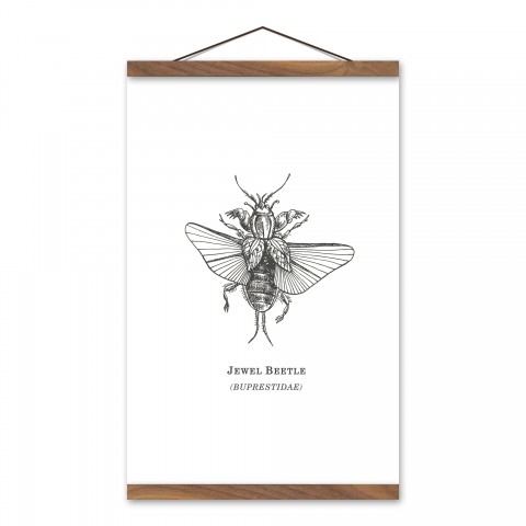 Jewel Beetle 12x18 Teak Hanging Canvas